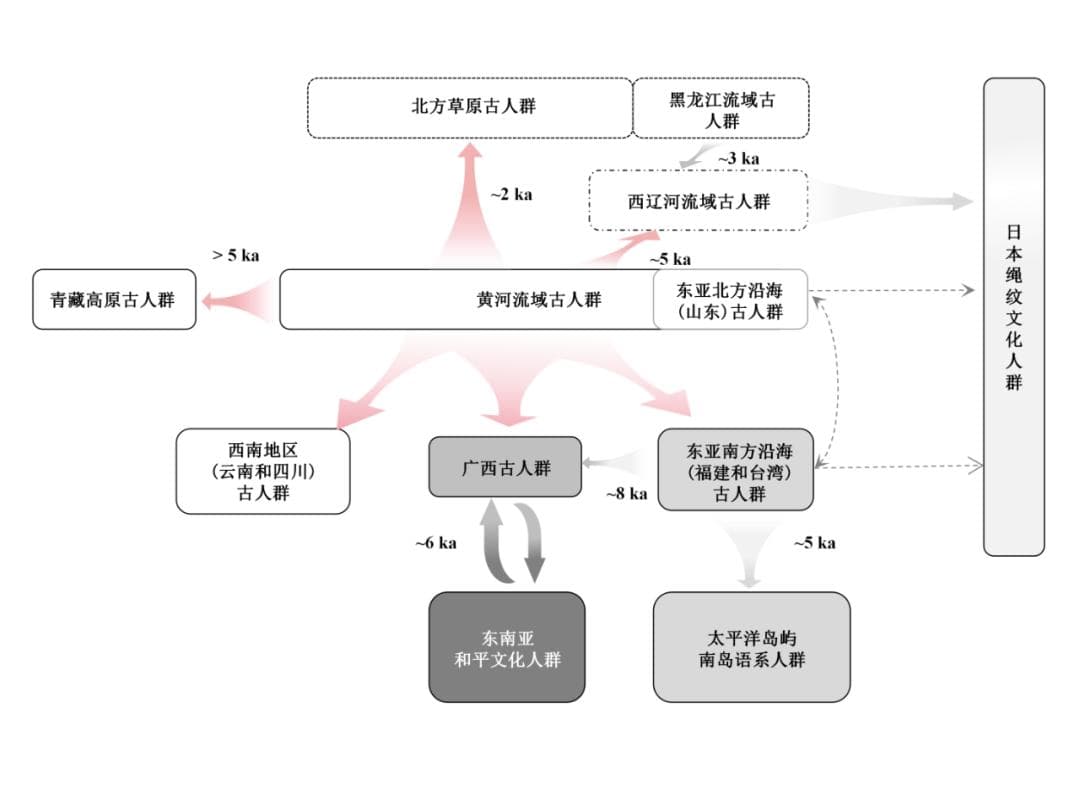 古DNA解析东亚南北方人群的迁徙与演化历史