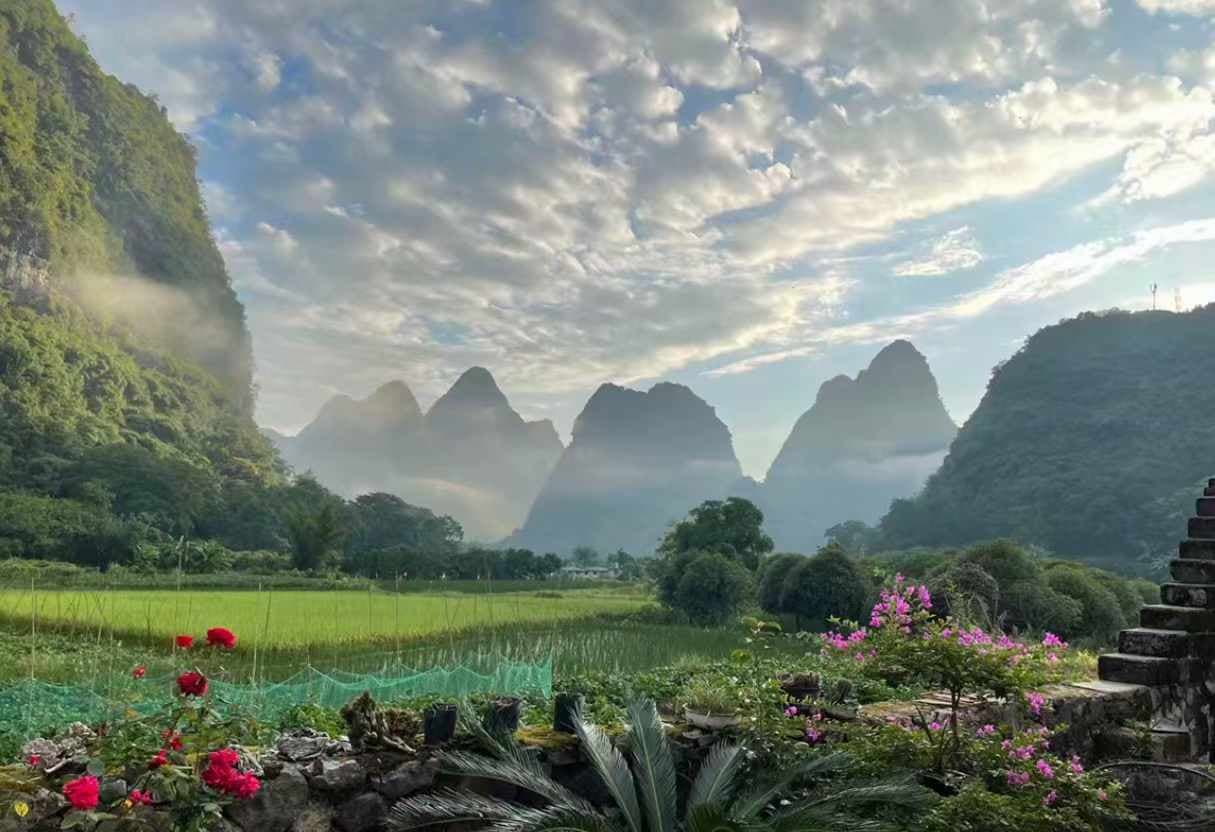 广西四季游：春探花海，夏戏水，秋赏银杏，冬泡温泉