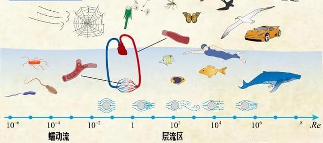 雷诺数揭秘！你必须知道的流体动力学关键知识