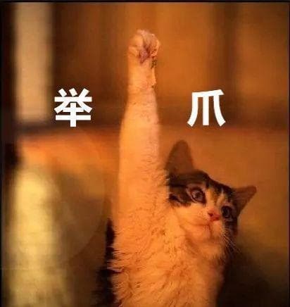 猫咪巨馋我的冰激凌，可以给TA吃吗？