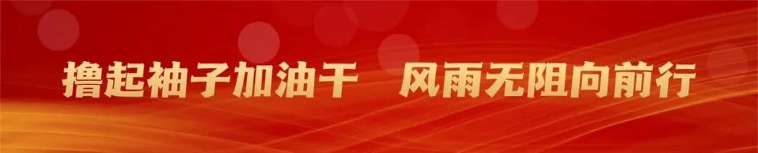 新质生产力在沧州丨建好用好科创平台，加快推动科技成果落地转化
