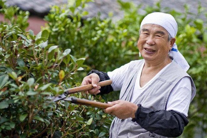 日本人不爱运动却最长寿，且患癌率极低，医生：7个原因值得深思