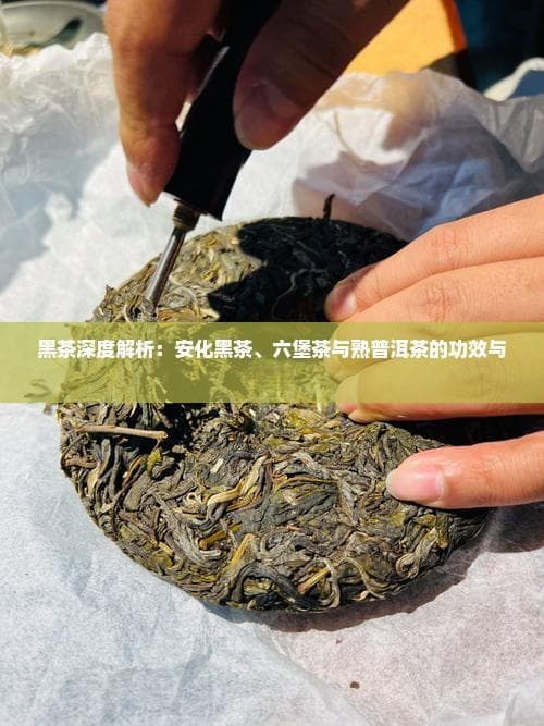 黑茶深度解析：安化黑茶、六堡茶与熟普洱茶的功效与作用