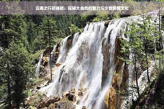 从西双版纳到大理：云南民族文化体验最佳去处