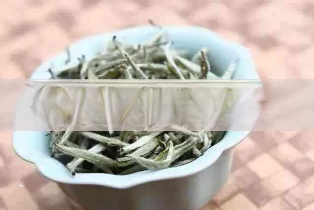 胃寒人群饮用茶叶对消化系统的影响及适宜茶种选择指南