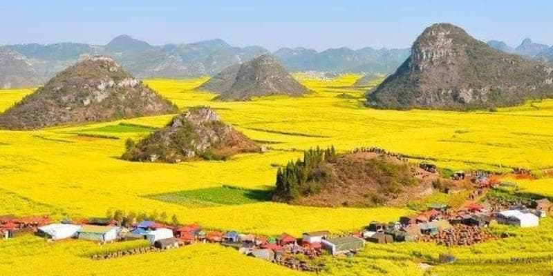 云南罗平旅游攻略：十大景点详解及实用信息