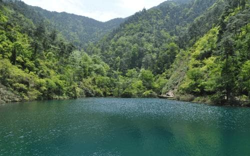 浙江大奇山国家森林公园