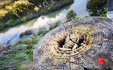 地役权是什么意思