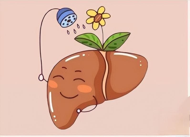 日常10个小动作，对养肝护肝很有好处！赶快学起来