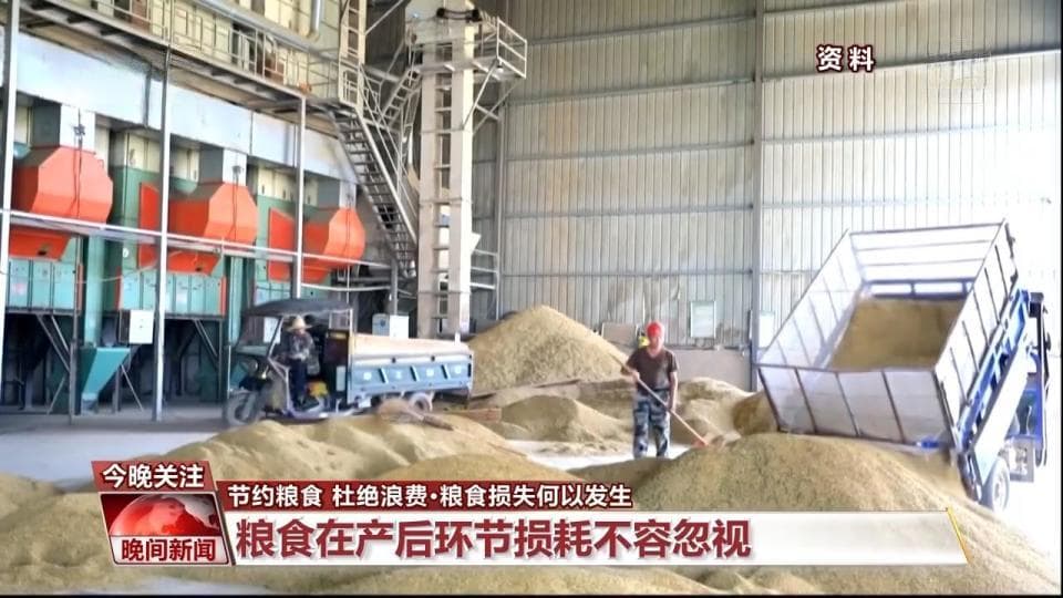 减少粮食浪费有多少学问？收割、储存、加工每个环节都不能少！