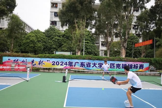 匹克球与网球大对比：从规则到体验的全方位解析