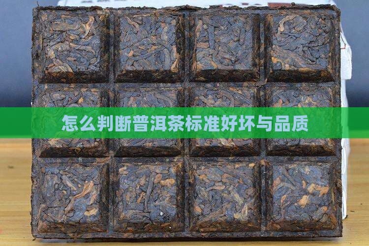普洱茶的魅力与鉴赏之道