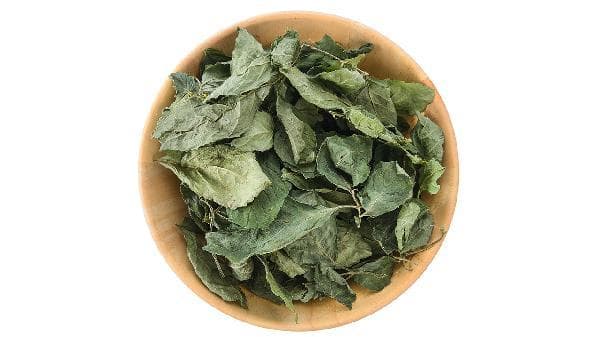 绞股蓝的功效与作用及食用方法