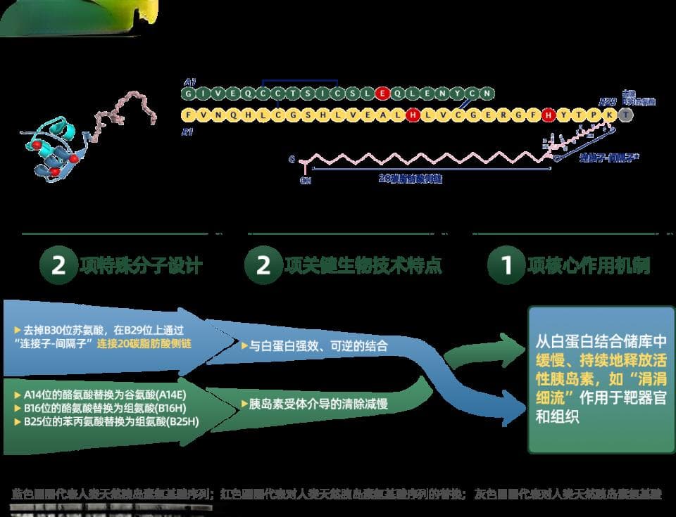 依柯胰岛素商业上市余温未消，纳入医保再添利好