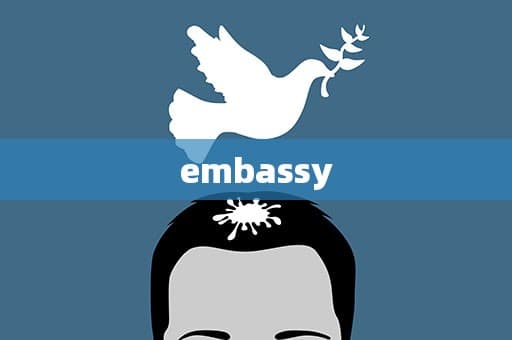 embassy和consulate有什么不同？