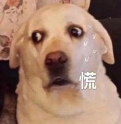 “铲屎官”必看！关于养狗的那些法律事儿……