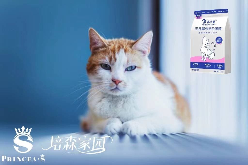 喵语学习 | 猫咪叫声的含义
