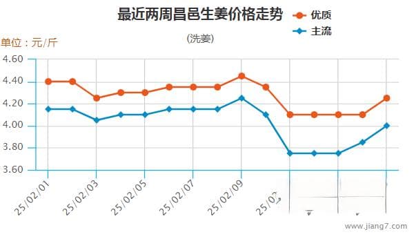 上货时多时少、姜价涨跌互现