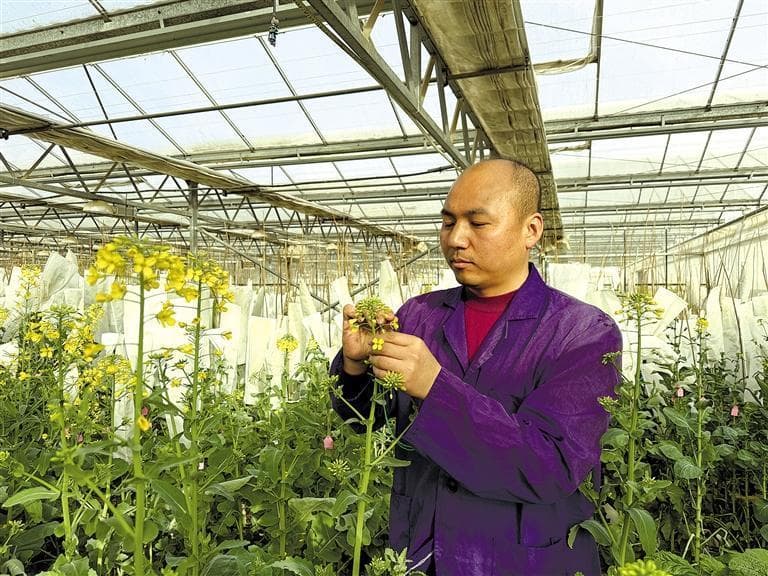 农业成果“破圈出海”  ——杨凌示范区推动农业科技“走出去”