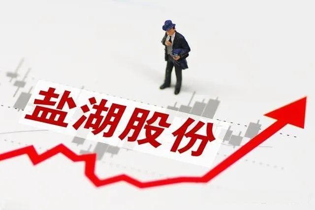 重磅！中国五矿135.58亿收购盐湖股份，锂资源战局生变