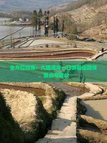 大理洱海一日游攻略：经典路线、景点推荐与省钱妙招