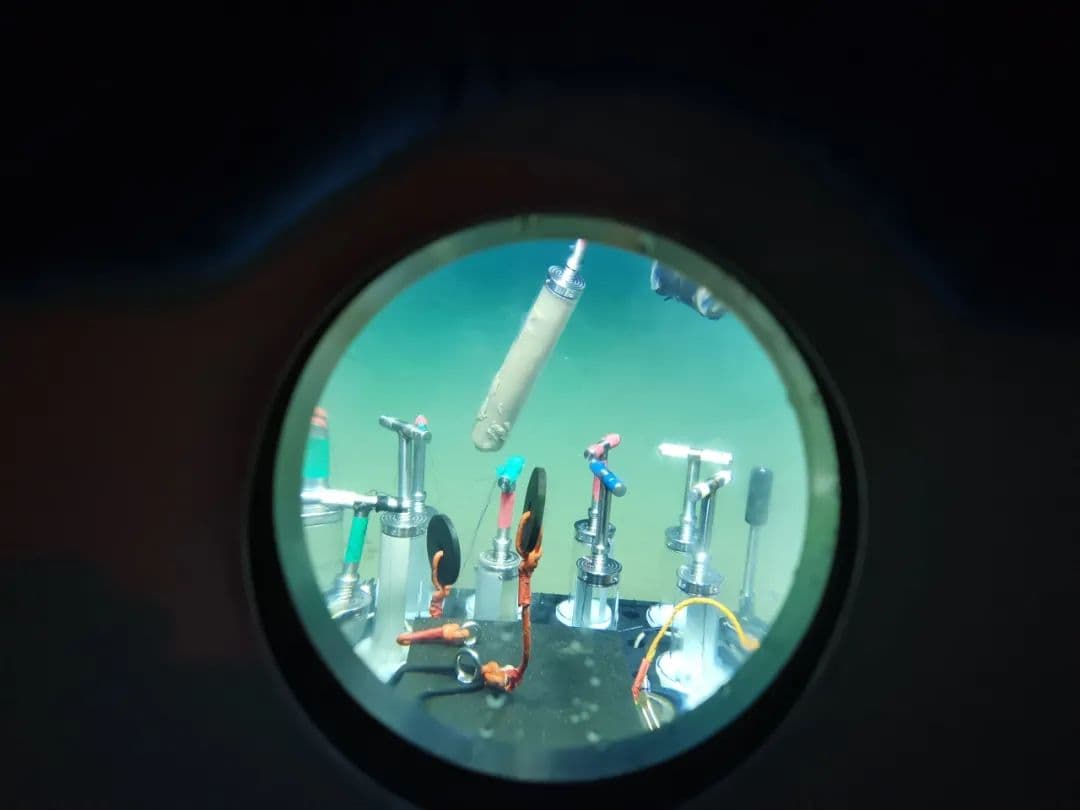 中国科学家绘制全球首个海洋最深生态系统图景，成果登上《Cell》封面