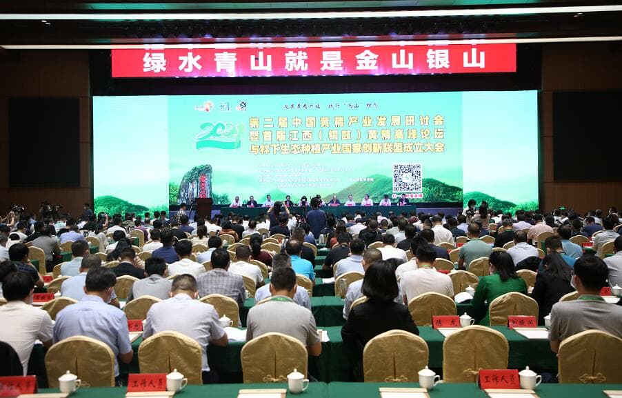 宜春铜鼓县规划建设20万亩高标准黄精种植基地 打造百亿黄精产业