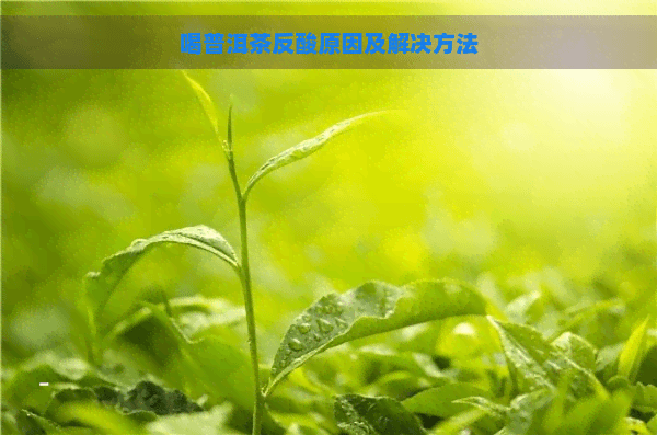 喝普洱茶反酸原因及解决方法