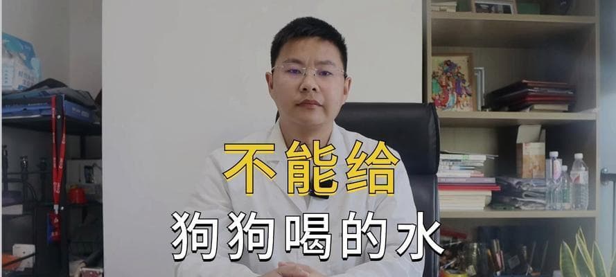 狗狗的水分摄入量（为什么不喝足够的水会导致健康问题）