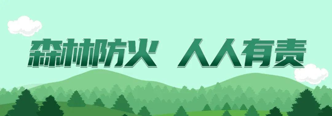 春季护肝指南：苦味食物为何能保护肝脏？