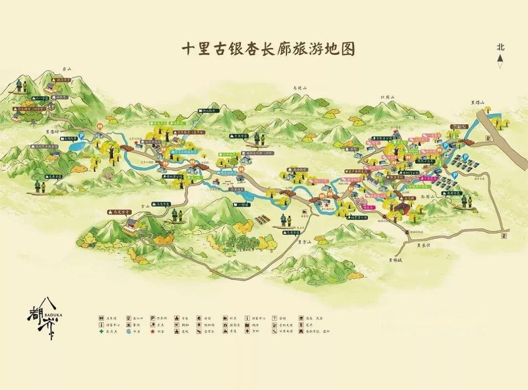 长兴十里古银杏长廊观赏攻略（最佳时间+停车指南）