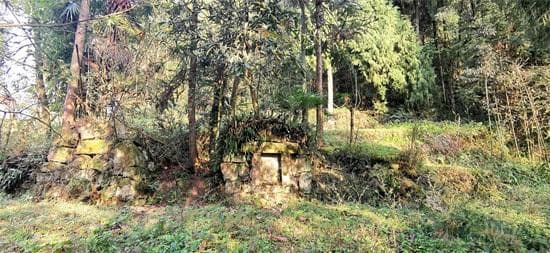 古代死的几种说法：从《礼记》到民间习俗的死亡称谓