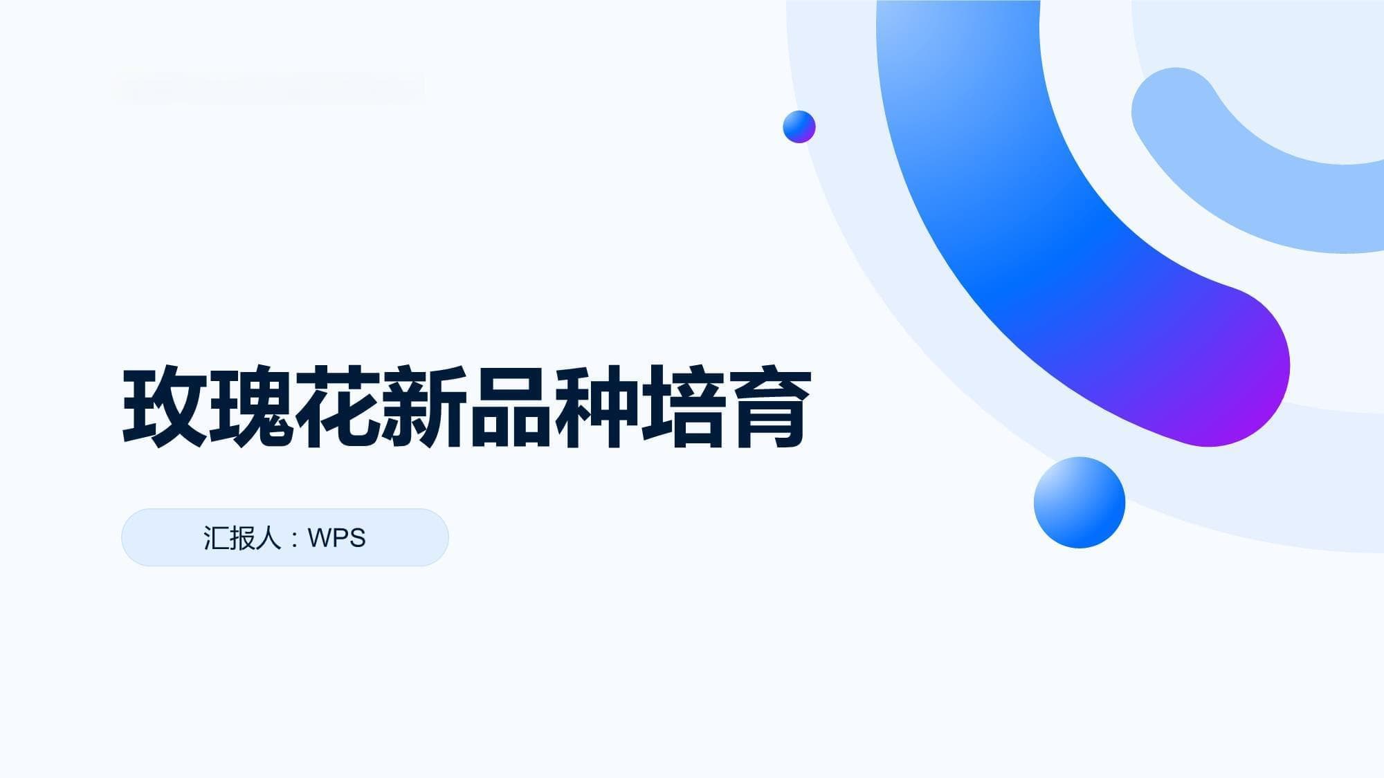紫枝玫瑰四季开，丰花玫瑰似牡丹：新品种产量可观