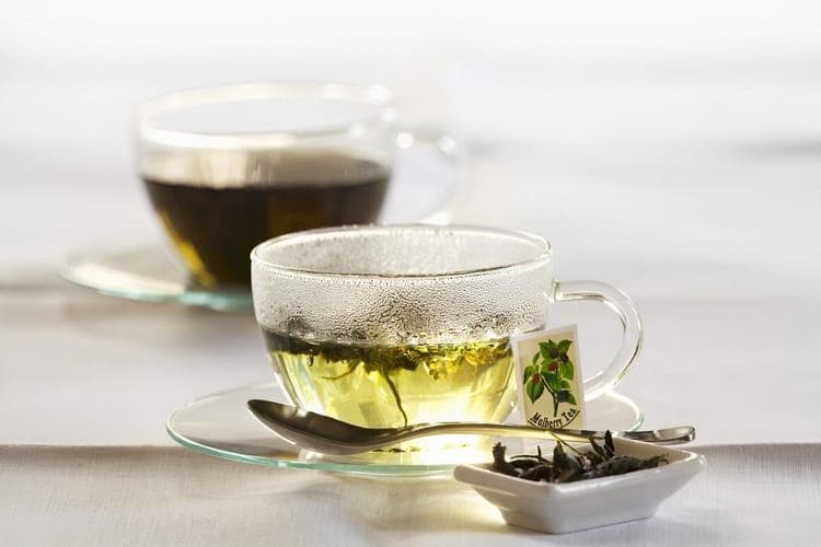 桑叶茶一天喝多少？桑叶茶适量摄取的建议