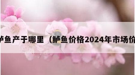 鲈鱼产于哪里？全球十大淡水鲈鱼产地大盘点