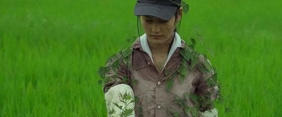 日本治愈系影视作品叙事中的文化内涵