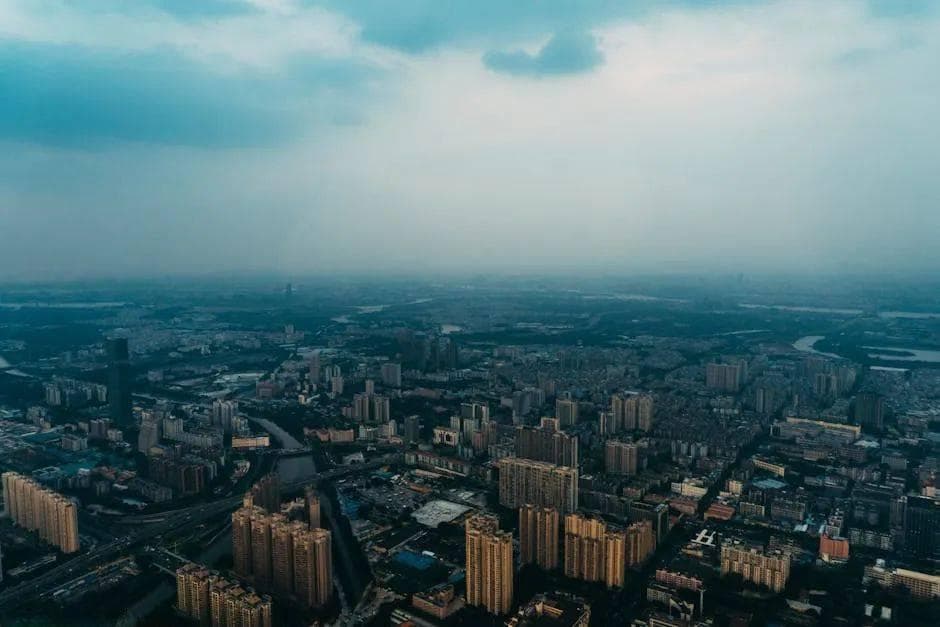 公共部门数字化变革：系统回顾与研究议程