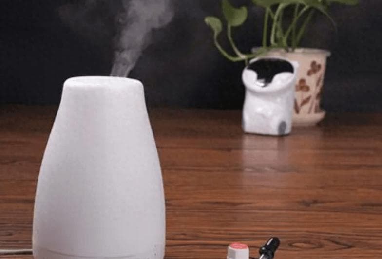 房间干燥，养5种花，“天然加湿器”之名当之无愧，养花人都懂