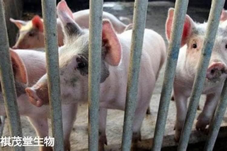 造成免疫失败的原因有哪些？