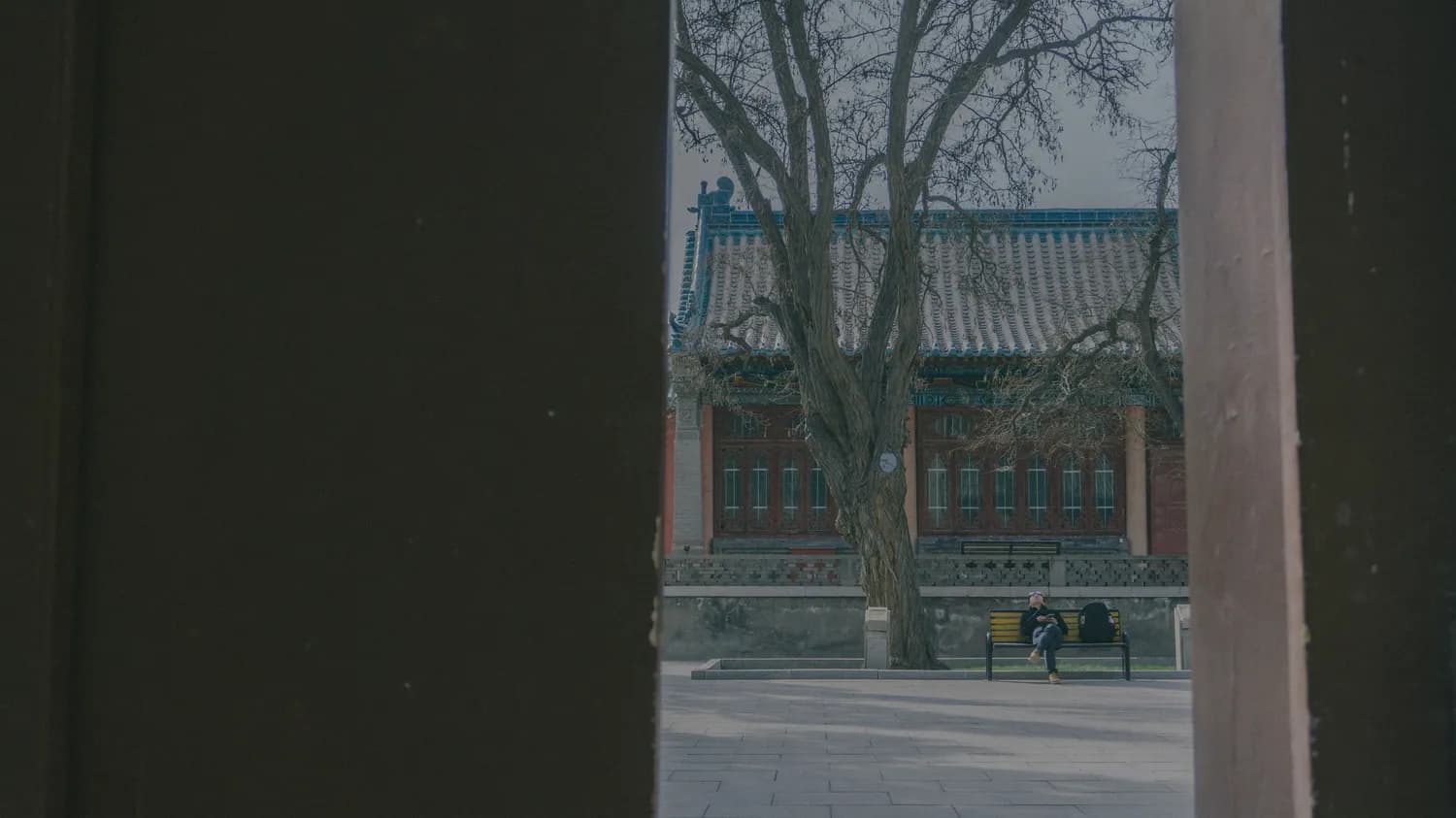 《北大公开课：北大才斋讲堂精选·教育与心理》：情感心理学的权威指南