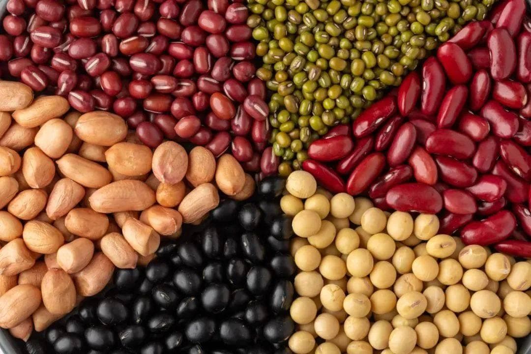 解惑：您是否正确食用了豆类和坚果类食品？