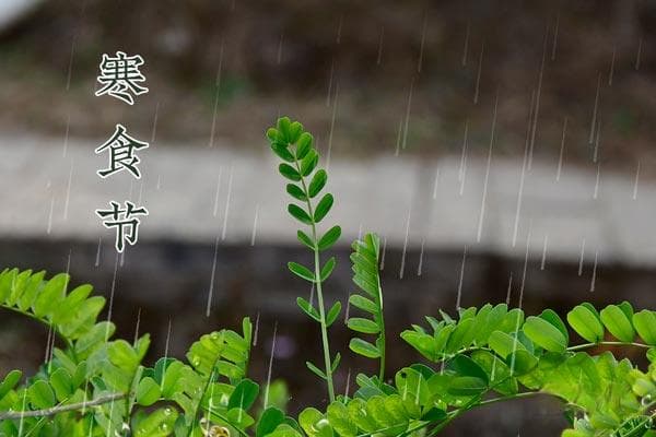 寒食节的象征意义