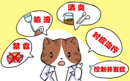 揭秘胰腺：这个神秘器官的功能与疾病