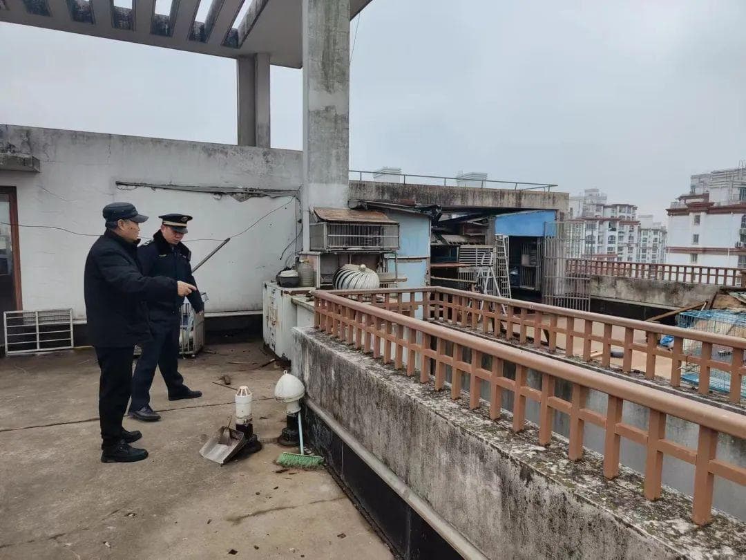 养鸽扰邻怎么办？多方协调解其困