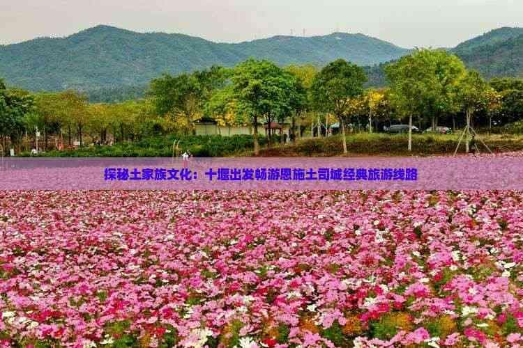 探秘土家族文化：十堰出发畅游恩施土司城经典旅游线路