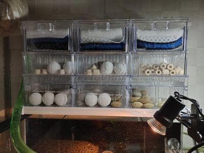 鱼缸加热棒有没有危险：如何判断鱼缸加热棒是否安全