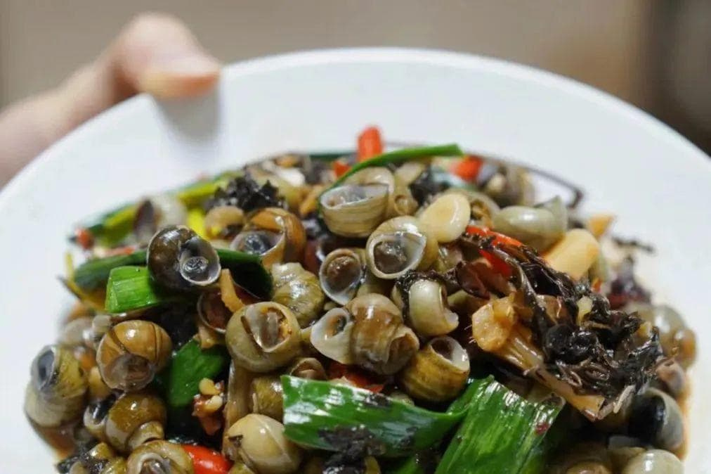 一口6000条寄生虫！教你辨别福寿螺，安全食用螺类