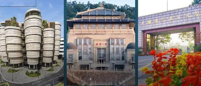 武大等发布大视觉模型最新安全综述：全面分类攻击策略、防御机制和评估方法