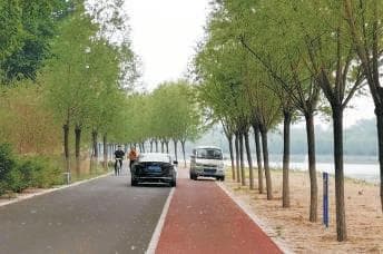 部分城市绿道“危险重重”：电动车摩托车频繁驶入 有时还有汽车混行其中