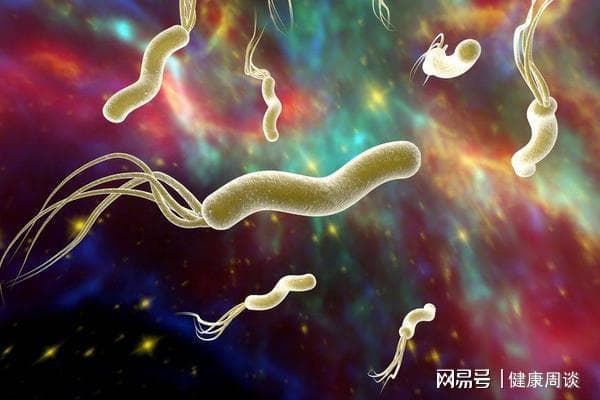 感染幽门螺杆菌，应吃什么食物？每天保持，能灭菌护胃，远离口臭